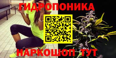 первитин Можга