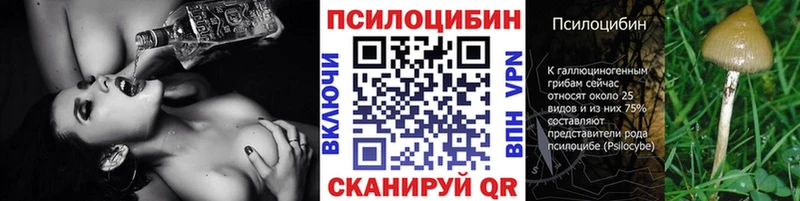 Псилоцибиновые грибы прущие грибы  Биробиджан 