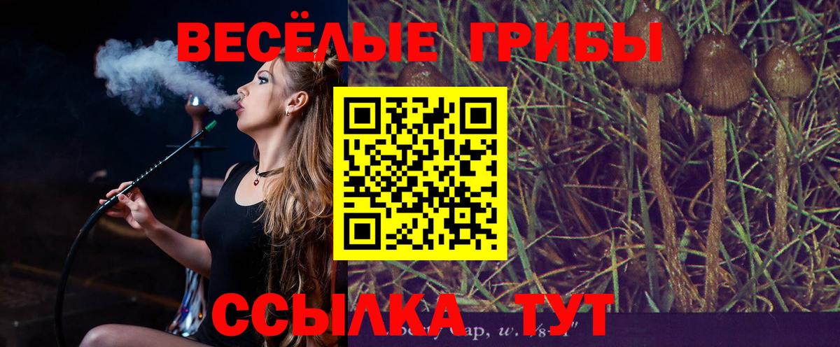 Биробиджан  Псилоцибиновые грибы мицелий  Галлюциногенные грибы Psilocybe  Вход с VPN 